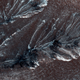 Illustration for article titled This Earth-Like View Is Actually on Mars